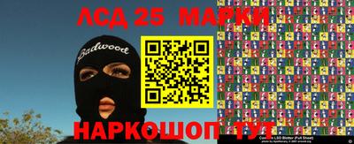 крисы Магадан