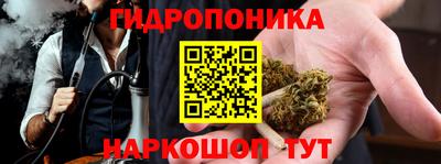 крисы Магадан