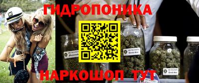 крисы Магадан
