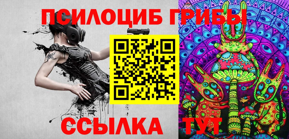 Псилоцибиновые грибы GOLDEN TEACHER Всеволожск